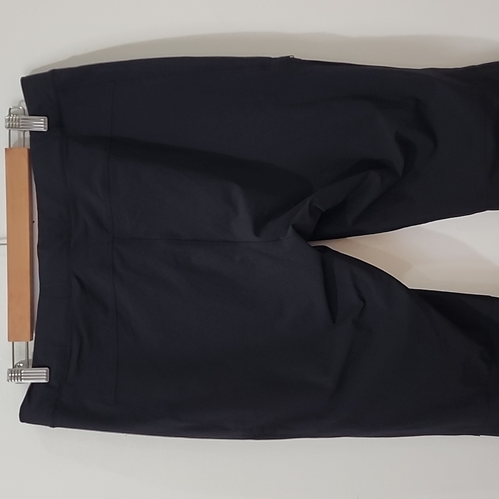 Arc'tyrex Gamma Pants - Picture 7 of 14
